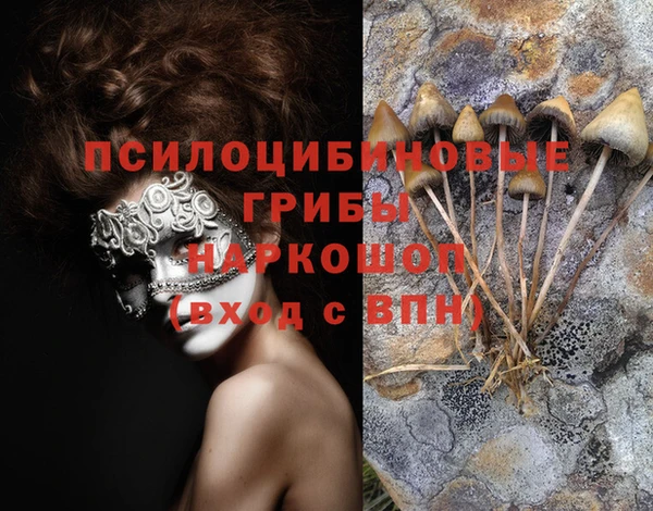 дурь Магас