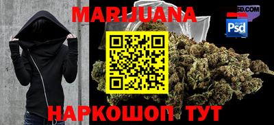 стафф Гатчина