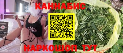 стафф Гатчина