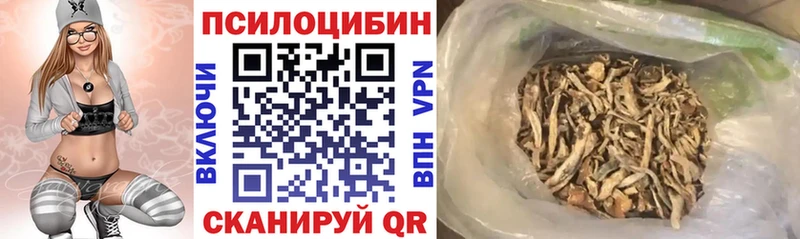 закладки  Сосновоборск  Галлюциногенные грибы Psilocybe 