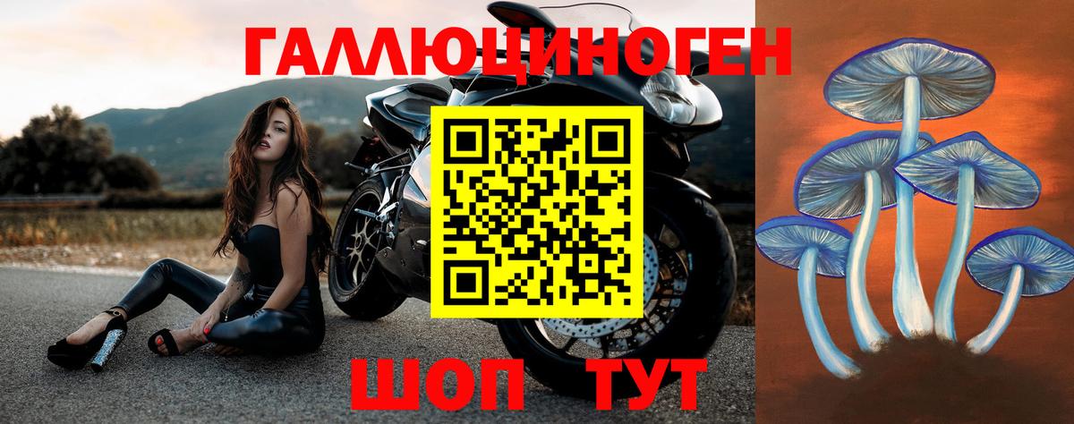 Галлюциногенные грибы Cubensis Сосновоборск