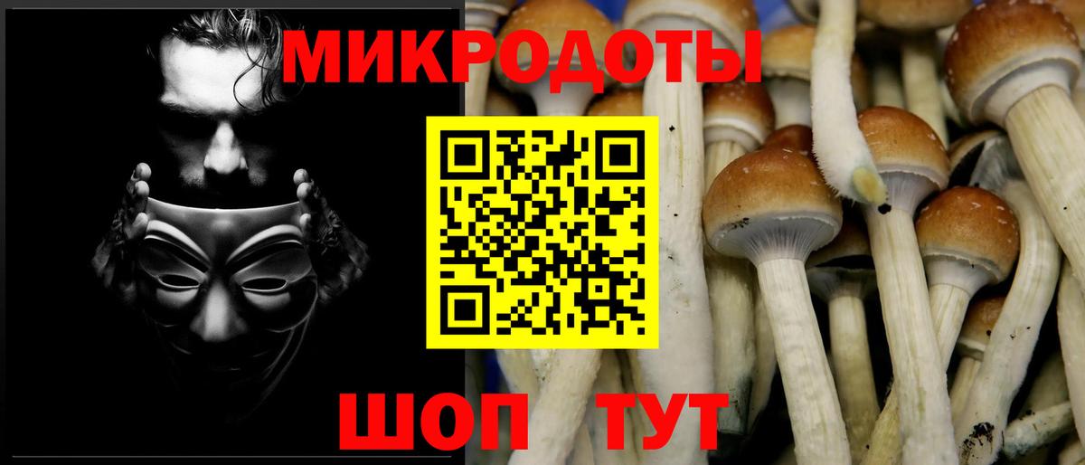 Сосновоборск  Псилоцибиновые грибы Cubensis  наркошоп  Вход с VPN 