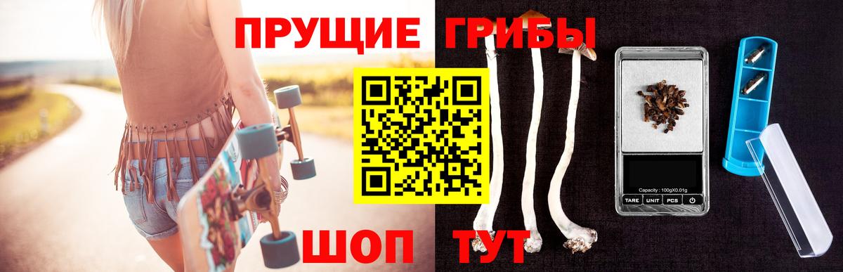 Псилоцибиновые грибы Psilocybe  Сосновоборск 