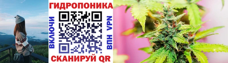 KRAKEN ССЫЛКА  Сосновоборск  Бошки марихуана OG Kush 